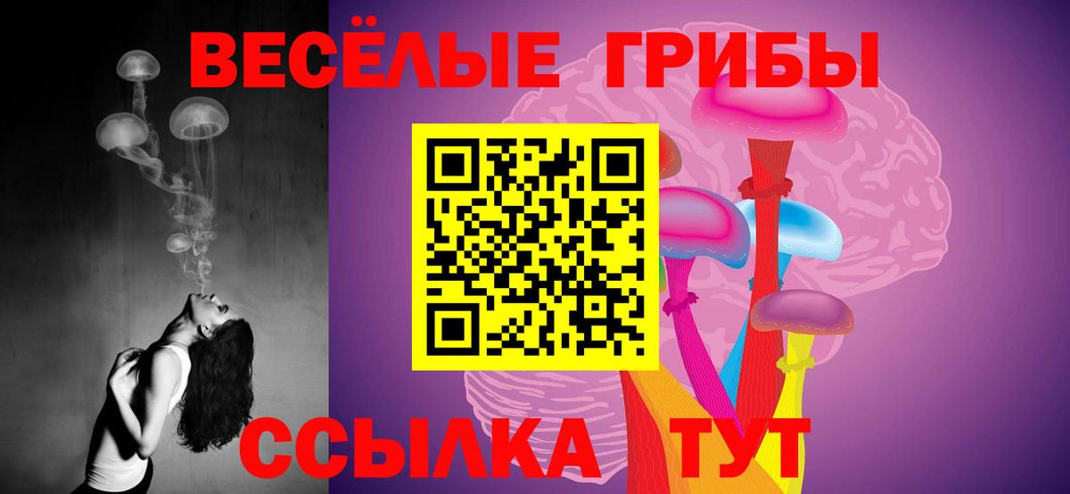 Менделеевск  Галлюциногенные грибы мухоморы  Псилоцибиновые грибы Psilocybe  Вход с VPN 